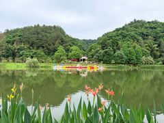 -常德桃花源景区
