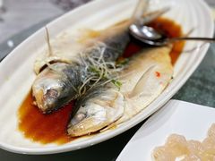 花雕蒸鲥鱼-太湖饭店·寄畅轩中餐厅