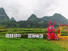 -靖西鹅泉风景区