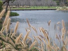 -良渚古城遗址公园