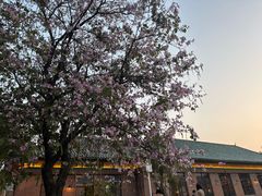 -华农酸奶文化馆