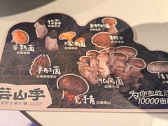 -芸山季·云南野生菌火锅(南翔印象城MEGA店)