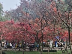 -岳麓山风景名胜区