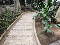 -石家庄市植物园