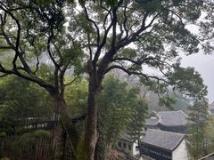 -岳麓山风景名胜区