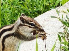 -长春市南湖公园