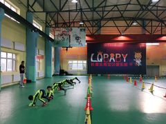 -长春乐奇平衡车儿童体能运动中心