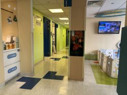 点击看大图 -杭州贝瑞斯美华妇儿医院·早孕·产检·儿科