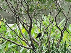 -云溪植物园