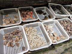-郑庄脂渣海鲜楼(九水路店)