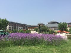 -秦皇岛阿尔卡迪亚滨海度假酒店