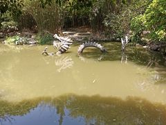 -汇龙潭