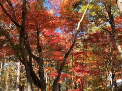 -轻井泽高原教堂