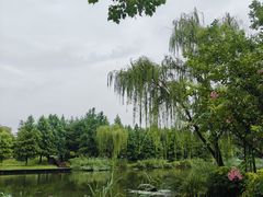-桃花岛公园