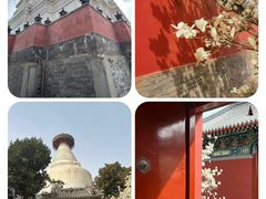 -妙应寺白塔