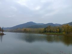 -千年银杏谷文化旅游区