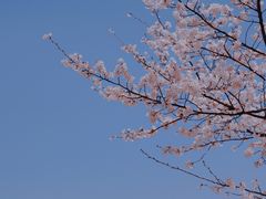 -永乐路-路侧停车场