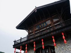 -大唐贡茶院