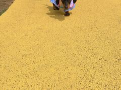 -omitofee咖啡(水泽店)