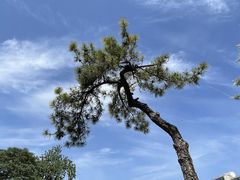 -环城公园