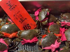 -湛江渔港·大排档(乐园路总店)