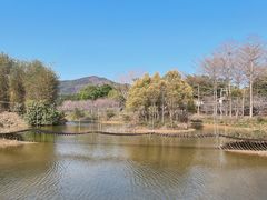 -天适樱花悠乐园