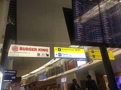 -谢列梅捷沃国际机场