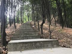 -火炉山森林公园