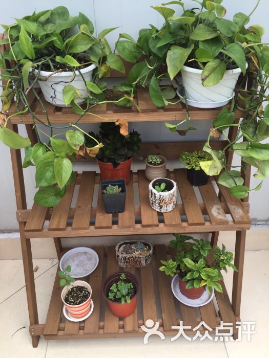 老屋咖啡(平江路店) 图片 - 第200张