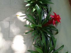 -十里·东湖院子(湖北省博物馆店)