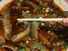 -情妹耙泥鳅·江湖川菜(科华店)