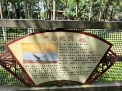 -艾溪湖湿地公园