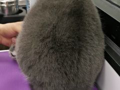 -中农国际动物医院24小时·猫科·骨科·急重症中心
