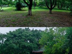 -堤角公园