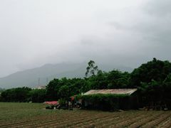 -大地土窑菜馆·特色罗浮农家菜(罗浮山景区店)