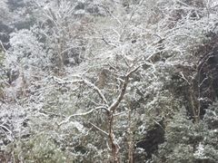 -西岭雪山大飞水景区
