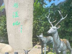 -溱湖国家湿地公园