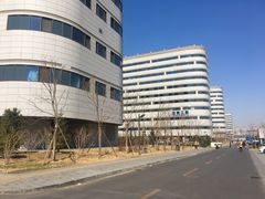 -首都医科大学附属北京天坛医院