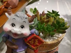 -深影国际影城(学院南路店CGS中国巨幕店)
