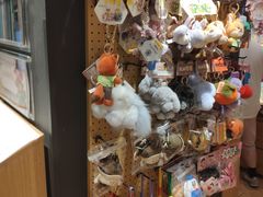 -九木杂物社(恒隆广场店)