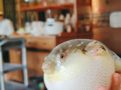 -永安鱼庄·镇江菜(丁卯店)