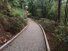 -神光山国家森林公园