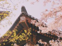 -西安青龙寺遗址景区
