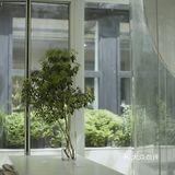 泰州超美的庭院咖啡店