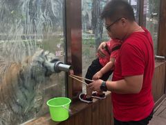 -横道河子东北虎林园