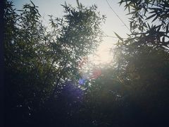 -白塘生态植物园