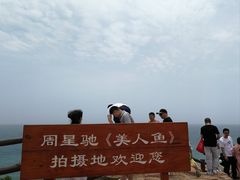 -杨梅坑