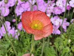 -人民公园(罗湖区)