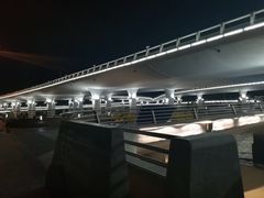 -演武大桥观景平台