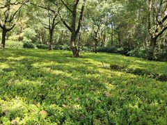 -野生动物园-停车场